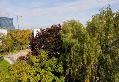 Zielono, niemal centrum i do własnej aranżacji!
