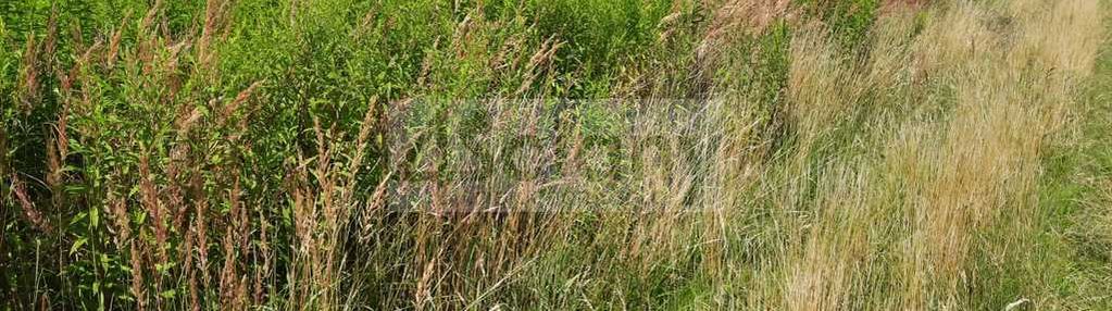 Atrakcyjna działka michałowice wieś