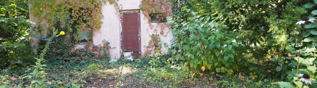 Działka budowlana 24 ar natalin gmina kamień