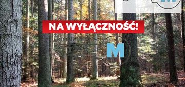 Działki leśne w kompeksie lasów prywatnych 4,5 ha