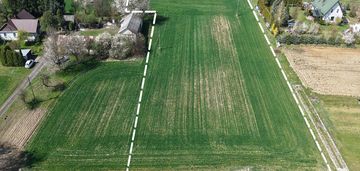 Działka 1 ha drzewce kolonia, blisko nałęczowa
