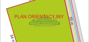 Cichy  i  zielony  anin