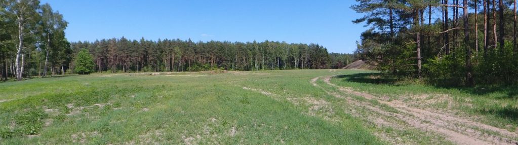 Naglady, działka pod zabudowę jednorodzinną.