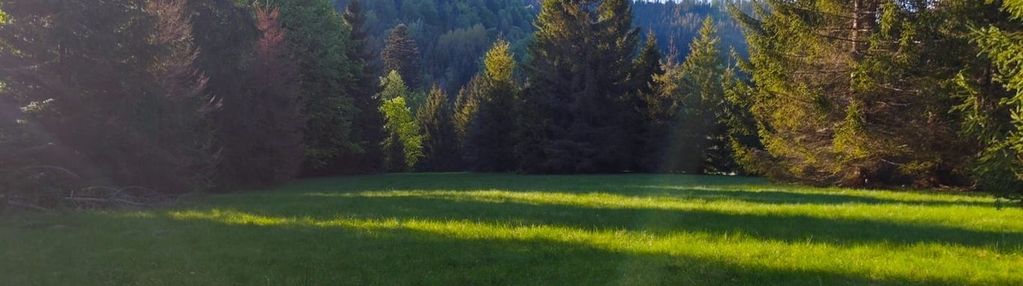 Działki rolne 5374 m² | soblówka