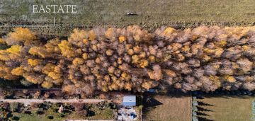 Działka budowlana w kaleń towarzystwo