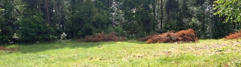 Uzbrojona, płaska działka z pozwoleniem na budowę!