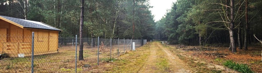 Działka z mpzp pięknie zadrzewiona w katarzynowie