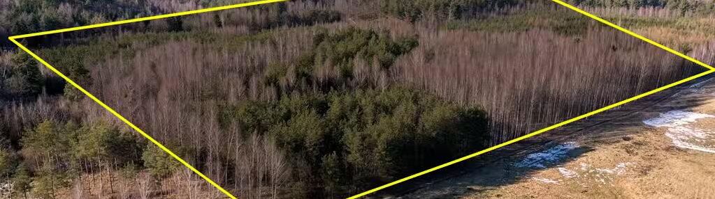 Działka leśna 2,35 ha grzegorze gm orzysz