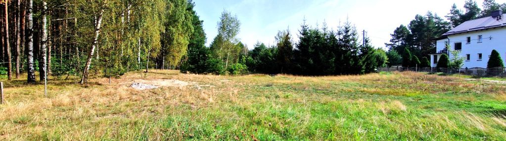 Działka budowlana ze ścianą lasu .