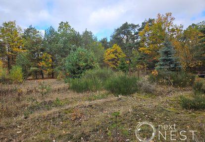 Wz 2 domy 2-lokalowe, dobre sąsiedztwo, las