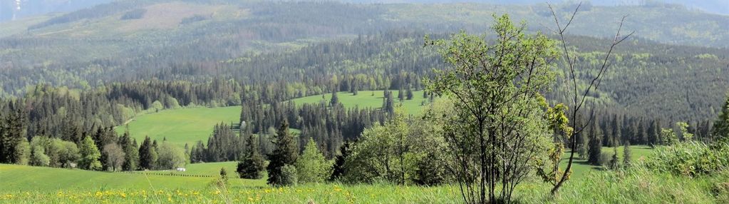 Tatry łapszanka rzepiska działka widokowa 3,06 ha