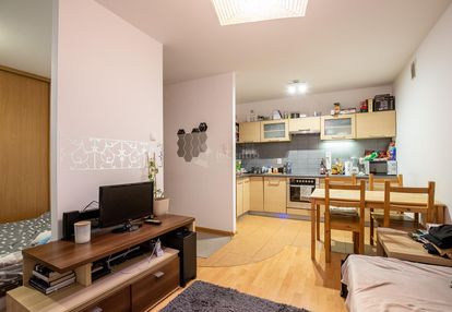 Przestronna kawalerka, ogródek, piwnica. od 01.02.