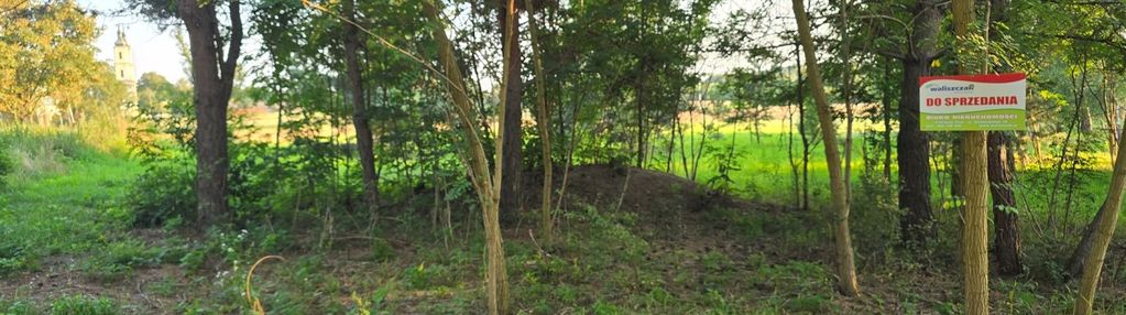 Oferta działek w koloni witów