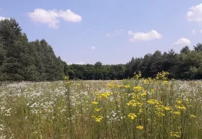 Działka na sprzedaż 5500m2