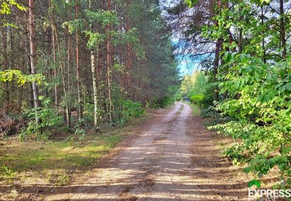 Cisza, natura i jeziora – rogóźno, do negocjacji