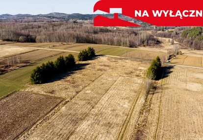 Działka budowlano-rolna 62 ar ołpiny!