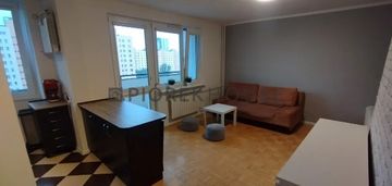 Kawalerka na pradze-południe