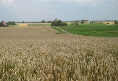 Działka z warunkami zabudowy blisko olsztyna