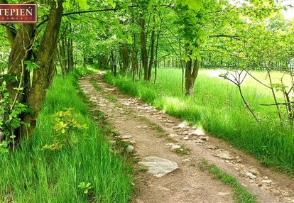 Działka budowlana widok na pasmo karkonoszy