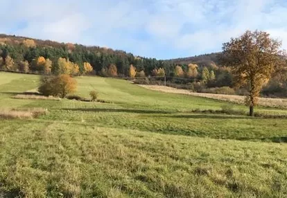 Działka na sprzedaż 7000m2