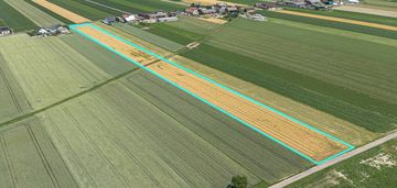 Grunty rolne 5,80 ha magdalenki, wlkp  klasa iii