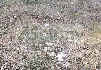 Zabudowa szeregowa, bliźniacza i jednorodzinna.