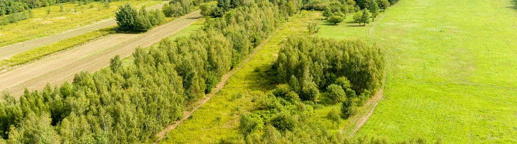 Działka rolna 71 arów bidoliny radłowskie