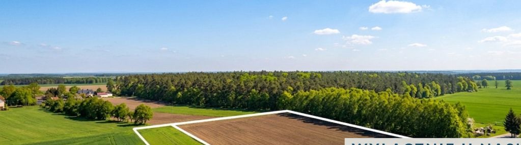 Działki inwestycyjna / 1,1 ha  / falbogi borowe