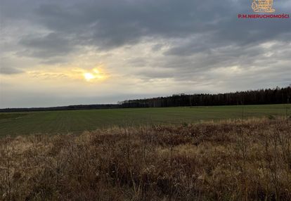 Duża działka rolna w wilczej