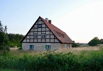Siedlisko z pruskim murem | 0,63 ha wysokie