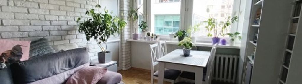 3-pokojowe mieszkanie w śródmieściu