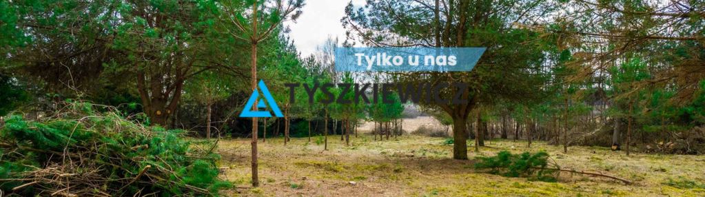 Działka budowlana w bezpośrednim sąsiedztwie lasu!