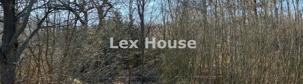 Działka objęta mpzp | leśna polana