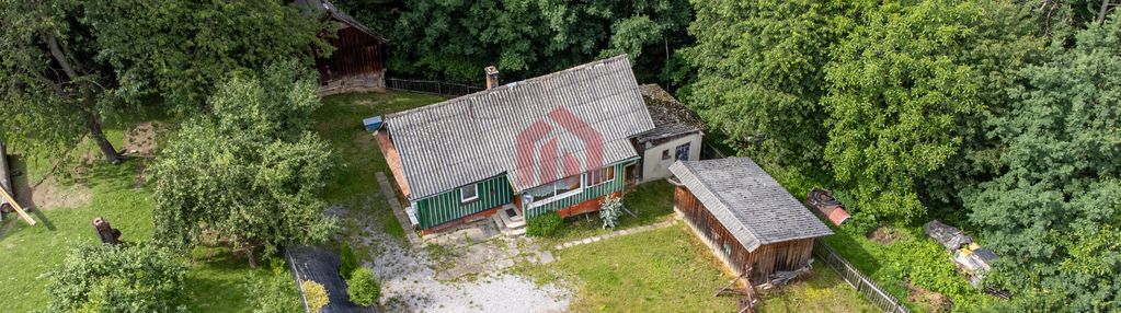 Chata drewniana przy ścianie pieknego starego lasu