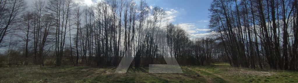 Działki blisko natury z wz !