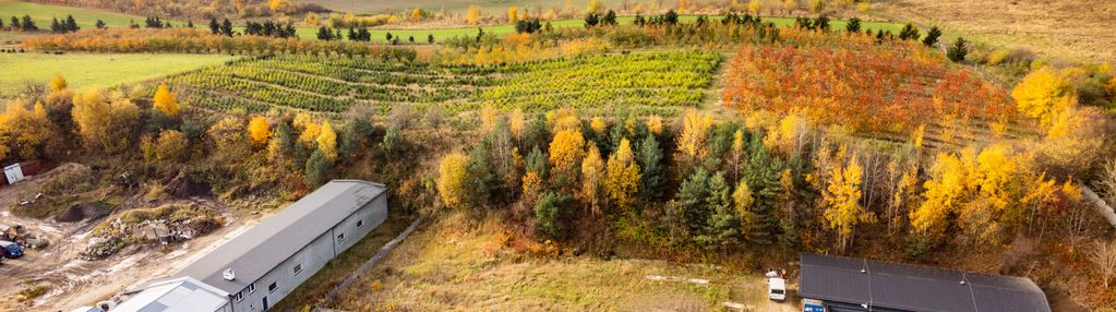 Działka handlowo-usługowa w kosakowie