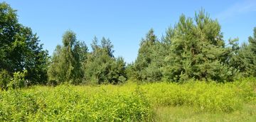 Działka rolna inwestycyjna wojcieszyn stare babice