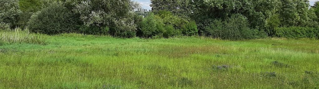 Działka w żninie blisko jeziora dużego