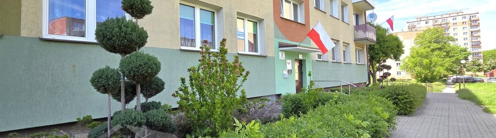 Głogów, oś hutnik, mieszkanie 3 pok, parter