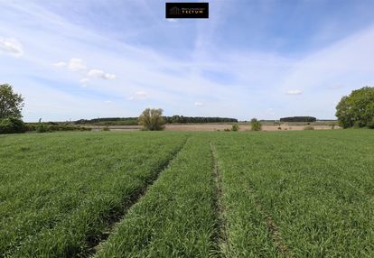 Działka na sprzedaż bracholin gm. wągrowiec