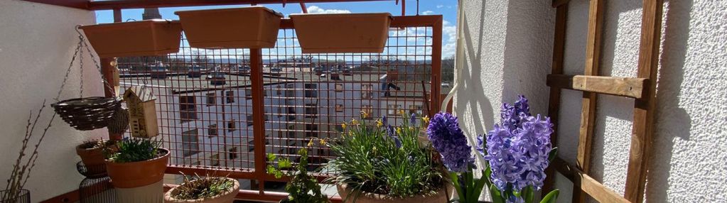 2-pokoje, widna kuchnia, miejsce postojowe