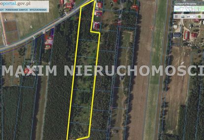 Kompleks działek w michalinku (gm. płońsk)