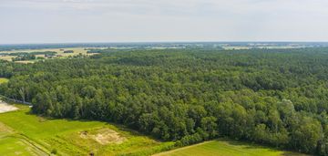 Działka leśna- narożniki- radgoszcz