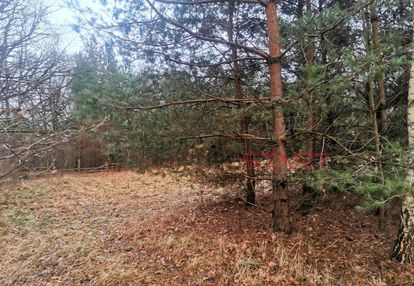 Działka pod dom wolnostojący lub dwulokalowy.