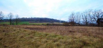 Działka 2273 m2, zajączków (gm. piekoszów)