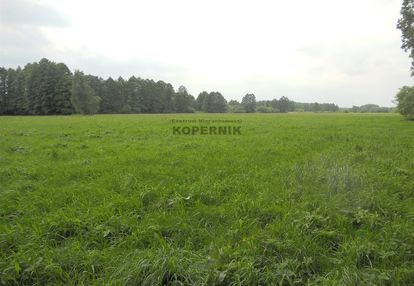 Działka brzeźno blisko toruńa