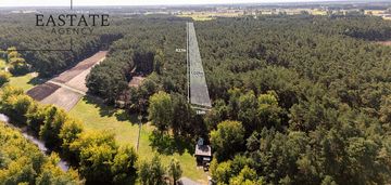 Na sprzedaż hektar działki leśnej