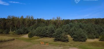 Działki budowlane|jelcz laskowice| wydane wz