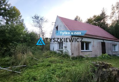 Dom z działką 1ha, staw, na wzgórzu, piękny widok