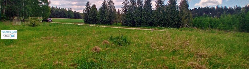 Widokowa działka otoczona lasem!
